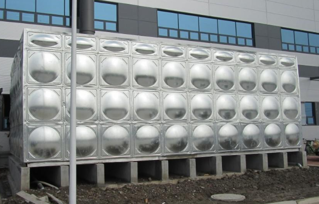 广西理工学院（崇左市）